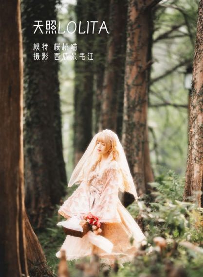 k8s经典手机版